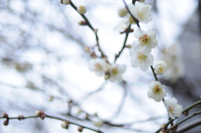 市民後見人講座受講中・・・