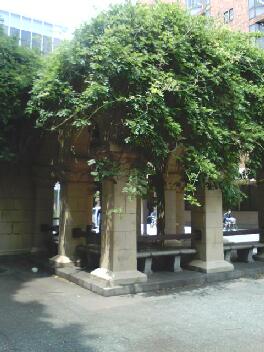 東大の隠れた偉人・・・市民後見人講座を終えて