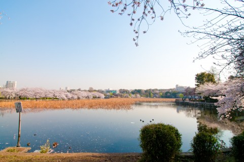 宿題（市民後見人講座の・・・）