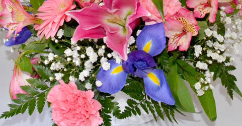 コンパクトなご自宅葬はいかがですか？